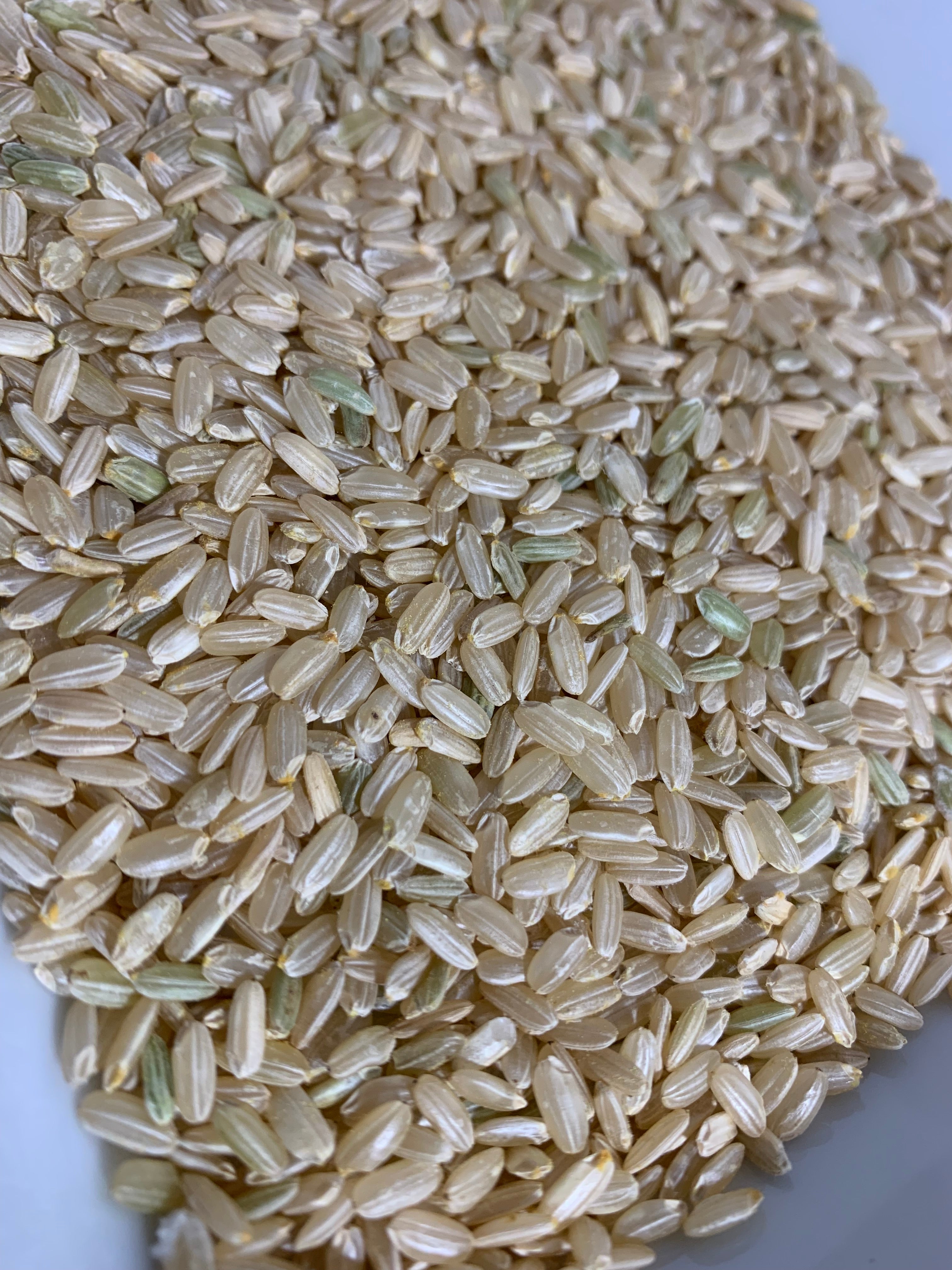 Organic Brown Rice (Medium Grain)
